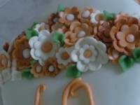 /album/fotogaleria-narodeninove/p1100584-jpg2/