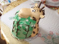 /album/fotogaleria-narodeninove/p8074329-jpg/