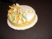 /album/fotogaleria-narodeninove/p1110332-jpg/